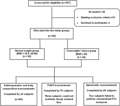 Figure 1 Study flow chart.