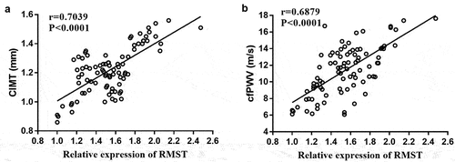 Figure 2. Pearson correlation coefficient analysis of RMST levels with CIMT value (a) and cfPWV value (b).