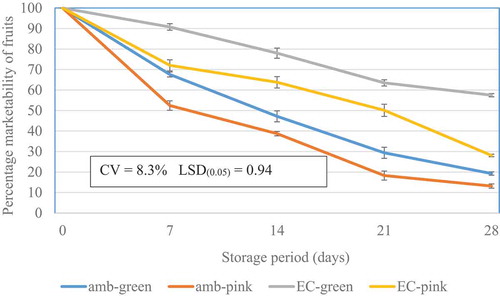 Figure 5. Changes in cumulative percentage marketability of tomatoes over a 28-day storage period for tomatoes harvested green and pink and subjected to ambient and IAC+EC conditions (n = 5), where amb-green is green harvested tomatoes stored under ambient conditions, amb-pink is pink harvested tomatoes stored under ambient conditions, EC-green is green harvested tomatoes stored under IAC+EC conditions, EC-pink is pink harvested tomatoes stored under IAC+EC conditions.Figura 5. Cambios en el porcentaje acumulativo de comerciabilidad de los tomates almacenados durante 28 días para los tomates cosechados de color verde y rosa sometidos a condiciones ambientales y IAC+EC (n = 5). Amb-green es el tomate cosechado de color verde, almacenado en condiciones ambientales; amb-pink es el tomate cosechado de color rosa, almacenado en condiciones ambientales; EC-green es el tomate cosechado de color verde, almacenado bajo condiciones IAC+EC; EC-pink es el tomate cosechado de color rosa, almacenado bajo condiciones IAC+ EC.