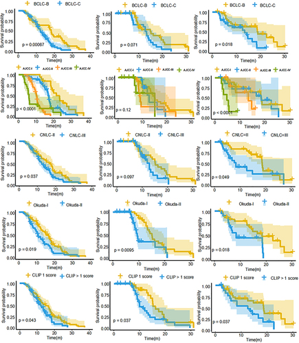 Figure 5 Kaplan-Meier survival curves of training cohort (left), internal validation cohort (middle) and external validation cohort (right) categorized by the different scoring/staging systems.