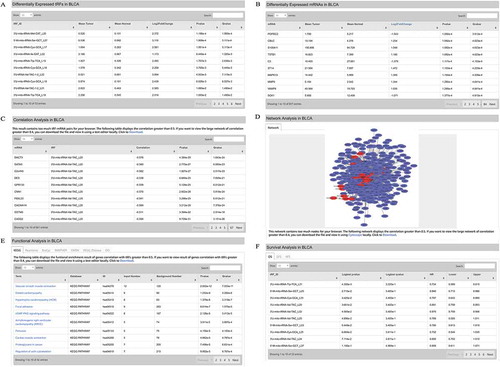Figure 3. Cancer functions. (A) Differentially expressed 3ʹU-tRFs in BLCA. (B) Differentially expressed mRNAs in BLCA. (C) Correlation analysis of tRFs and mRNAs in BLCA. tRF-mRNA pairs with their absolute correlation coefficients > 0.4 (i.e., |r|>0.4) were presented. (D) Network analysis of differentially expressed tRFs and mRNAs in BLCA. tRF-mRNA pairs with |r|>0.4 in Figure 3 C were subjected to network analysis. (E) Functional enrichment analysis of genes that are co-expressed with 3ʹ- U-tRFs (|r|>0.4). (F) Survival analysis of differentially expressed 3ʹU-tRFs in BLCA.