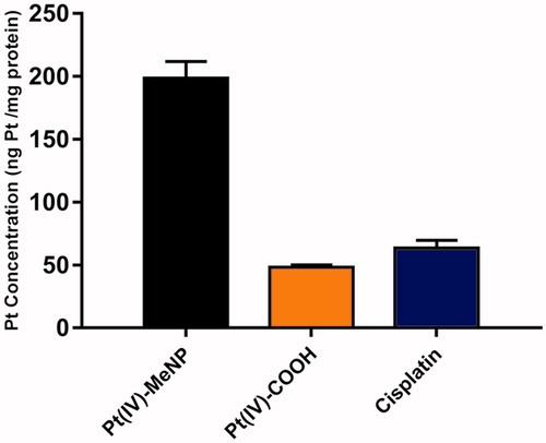 Figure 4. Cellular uptake of various drugs by PC3 cells at 4 h determined by ICP-MS. The initial platinum concentration of all drugs was 5 μM. Cellular uptake was expressed in the unit of (ng Pt/mg proteins).