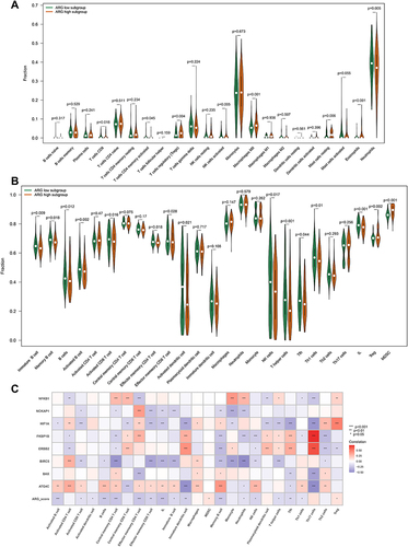 Figure 7 Analyzing the correlation between ARG classifier/hub ARGs and infiltrating immune cells in GEO datasets. (A) Comparison of infiltrating immune cells between ARG different subgroups based on CIBERSORTx tool. p value was calculated using the Wilcoxon test. (B) Comparison of infiltrating immune cells between ARG different subgroups based on ssGSEA algorithms. p value was calculated using the Wilcoxon test. (C) Correlation between ARG classifier/hub ARGs and immune cells. Correlation coefficient and p value were calculated by Spearman correlation analysis.