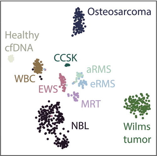 Figure 1. 2-component t-SNE plot derived from the samples in the extracranial tumour reference dataset after grouping CpGs into 14,103 regions. cfDNA, cell-free DNA; NBL, neuroblastoma; aRMS, alveolar rhabdomyosarcoma; eRMS, embryonal rhabdomyosarcoma; EWS, Ewing sarcoma; CCSK, clear cell sarcoma of the kidney; MRT, malignant rhabdoid tumour; MB, medulloblastoma; ATRT, atypical teratoid-rhabdoid tumour