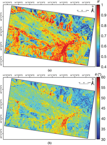 Figure 5. QP analysis. False colour images related to: (a) H, see (6) and (b) αˉ, see (8).