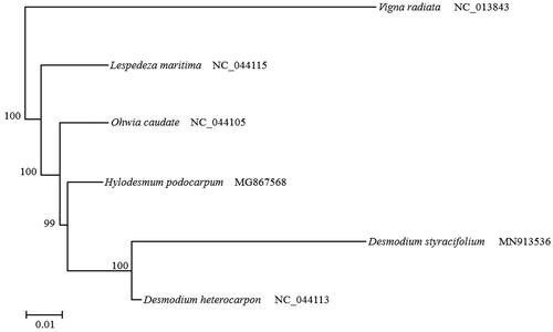 Figure 1. Phylogenetic tree constructed from complete genomes of 6 species using maximum-likelihood analysis with 1000 bootstrap replicates. Their accession number are as follows: Desmodium heterocarpon (NC_044113), Hylodesmum podocarpum (MG867568), Lespedeza maritima (NC_044115), Ohwia caudate (NC_044105), and Vigna radiata (NC_013843).