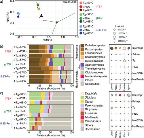 Figure 4. Fungal community composition in Urtica dioica roots depending on the primer pair used fITS7/ITS4, gITS7/ITS4, and 5.8S-Fun/ITS4-fun (Ta = 57 °C), the addition of PNA clamps (+PNA) and a higher Ta (Ta = 68 °C or 63 °C). (a) Non-metric multidimensional scaling (NMDS) analysis of the fungal communities, based on OTUs composition; (b) Relative abundance and F-value from linear mixed-effect models measuring the effect of primers, Ta, PNA, the number of OTUs and the number of reads on the relative abundances of fungal classes and (c) Genera.