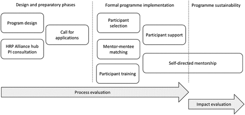 Figure 1. Phases of HRP Alliance mentorship programme.