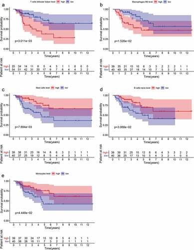 Figure 2. Survival analyses were applied to identify the prognostic value of tumor-infiltrating immune cells (TIICs). (a-e) The abundance of T cells follicular helper (p = .003), macrophages M0 (p = .015) was significantly correlated with poor prognosis of ACC. While the abundance of mast cells (p = .008), B cells naive (p = .031) and monocytes (p = .044) was positively associated with patient outcome.