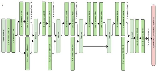 Figure 3. Xception architecture.