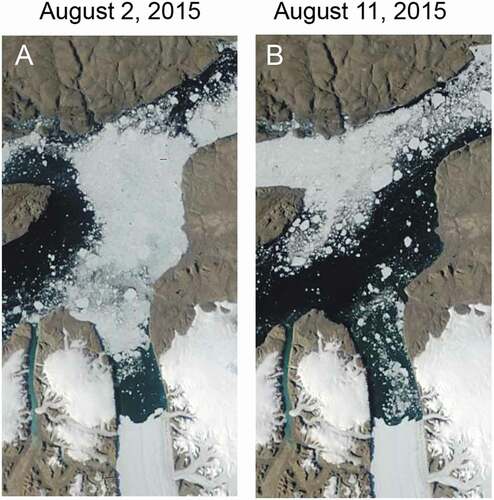 Figure 3. Modis satellite images from (a) 2 August and (b) 11 August 2015 showing the main changes in sea-ice conditions during OD1507 when the seabed samples were taken. Images courtesy of the NASA Worldview application (https://worldview.earthdata.nasa.gov/)