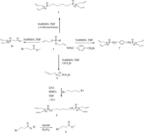 Scheme 2. Synthesis of alkyl phosphonates.