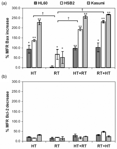 Figure 1. Intracellular Bcl-2 and Bax protein levels. (a) Percentage increase in Bax MFR 2 h after treatment compared to Bax MFR of untreated cells. (b) Percentage decrease in Bcl-2 MFR 2 h after treatment compared to untreated cells. The experiments were performed on three cell lines HL60, HSB2 and Kasumi-1. The treatments given were heat treatment (HT), irradiation (RT), heat treatment directly followed by irradiation (HT+RT) and irradiation directly followed by heat treatment (RT+HT) (See also Materials and methods, Apoptosis inducing treatments). The MFR, defined as the ratio of the mean fluorescent intensity (MFI) of primary antibody and the MFI of the isotype control stained cells, was used as a measure for Bcl-2 or Bax protein expression. The results are the mean ± SEM of three independent experiments. †Indicates a p < 0.01 between the groups RT and HT, RT and HT+RT, RT and RT+HT as determined by 1-way ANOVA. *p < 0.05, **p < 0.01 relative to control cells as determined by Student's t-test.