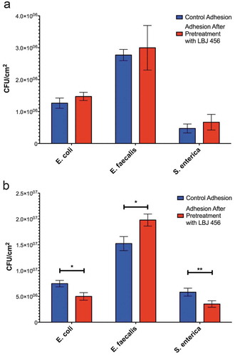 Figure 3. L. johnsonii 456 significantly inhibits pathogenic strain adhesion to goblet cell-like gut epithelial monolayers, but not enterocyte-like monolayers. (a) Adhesion of pathogenic bacteria to a Caco-2 monolayer after 1 hour pre-exposure to LBJ 456. (b) Adhesion of pathogenic bacteria to an LS 174T monolayer after 1 hour pre-exposure to LBJ 456. Data expressed as means and SEM. Relevant statistically significant differences are indicated [* = p < 0.05, ** = p < 0.1 (t test); n = 4]. All experiments were performed twice.