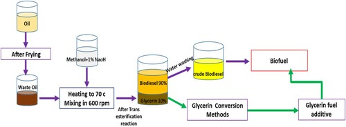 Figure 2. Processes of biodiesel production under optimal conditions by alkaline trans-esterification method.