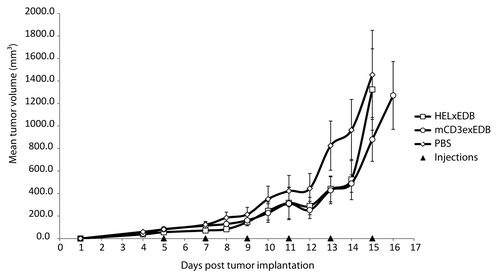 Figure 4. Therapy with mCD3εxEDB TandAb in mice. Mean tumor volume ± SD (mm3) is shown over time in 129Sv mice (n = 6 per treatment group) implanted s.c. with F9 tumor cells. Mice were injected i.v. in the tail vein with 40 µg TandAb mCD3εxEDB, HELxEDB or saline solution every 48 h for 6 injections in total.