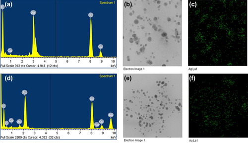 Figure 4. EDX spectrum of silver nanoparticles (a), elemental mapping results indicate the distribution of elements, the TEM micrograph of silver nanoparticle pellet solution (b), and silver; green (c), respectively. The EDX spectrum of gold nanoparticles (d), TEM micrograph of gold nanoparticle pellet solution (e), and gold; green (f), correspondingly.