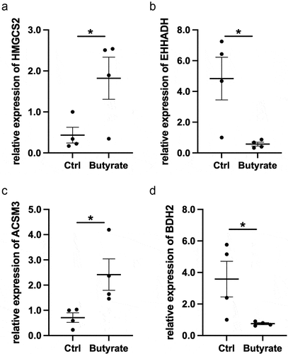 Figure 7. Expression of (a) HMGCS2, (b) EHHADH, (c) ACSM3, and (d) BDH2 mRNA in DSS-induced mice with or without butyrate. Gene expression was normalized to GAPDH in each sample. *p < 0.05. DSS, Dextran sulfate sodium