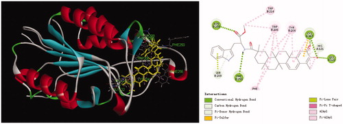 Figure 2. Computer modelling of compound 11 binding to Caspase-3 (1GFW). Compound 11 was colored in yellow.