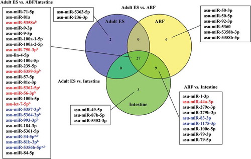 Figure 5. Venn diagram of miRNAs associated with extracellular vesicles obtained from Ascaris suum adult Excretory/Secretory (ES) products, A. suum adult body fluid (ABF) and A. suum intestine ranked according to average abundance (reads per million). miRNAs shown in red were up-regulated and miRNAs shown in blue were down-regulated. aAdult vs. ABF, bAdult vs. Intestine.