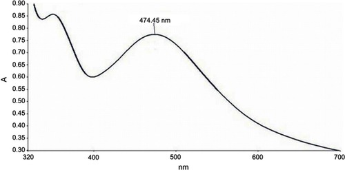 Figure 1 UV–Vis spectrum of AgNPs synthesized by aqueous seed extract of Sygyzium cumini.Abbreviation: AgNPs, silver nanoparticles.