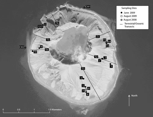 Figure 1 Site locations for the 2008 and 2009 samples. Not shown are the locations of a fishing boat from which a sample of the 2008 tephra fall was taken or the grab sample collected near site 13 by William Scott. The boat was approximately 13 km southwest of the island. The sample was collected the following day when the boat returned to port. The base image is from April 2009. Erosion of pyroclastic deposits between 2008 and 2009 place the 2008 sites in the water.