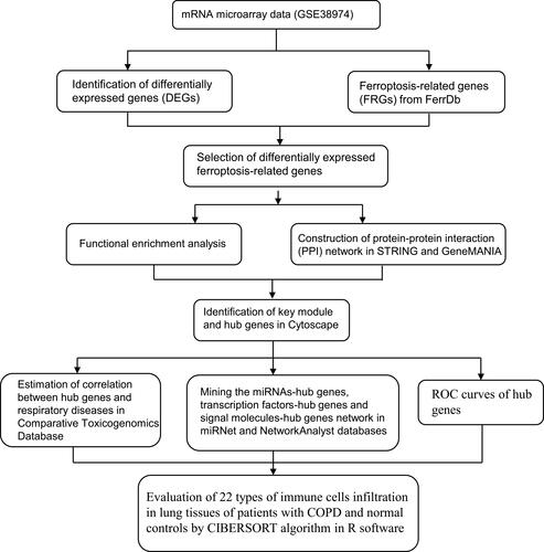 Figure 1 Flow chart.