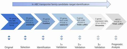 Figure 1. Procedure for the selection of the potential biomarker in ccRCC