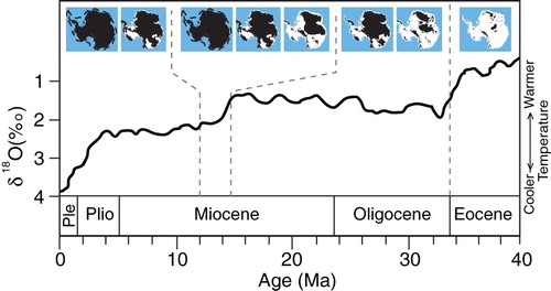 Figure 3. The greenhouse-icehouse transition in Antarctica. The oxygen isotope curve (black) is a measure of world temperature combining ice volumes and ocean temperatures and comes from analysis of deep-sea sediments (Miller, Wright, & Browning, Citation2005). The ice extents for different stages (shaded black) come from ice sheet modelling (Jamieson et al., Citation2010). The Oligocene to middle Miocene saw ∼ 33 glacial cycles with meltwater abundant, probably similar to conditions in present-day Greenland. Subsequent Miocene cooling saw the Antarctic Ice Sheet advance to the edge of the continental edge, perhaps on several occasions.