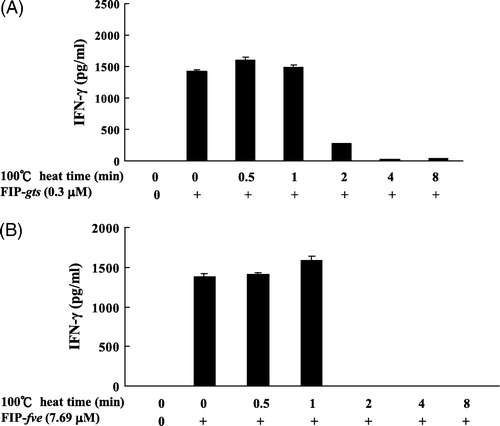 Figure 2.  Effect of heating on the stability of FIP-gts and FIP-fve-induced IFN-γ secretion in hPBMCs. The FIP-gts and FIP-fve were pre-incubated at 100°C from 0 to 8 min and residual immunomodulatory activity was determined. Cells cultured without stimulant in the culture supernatants were used as control samples. Human PBMC (2×106 cells/ml) were stimulated by non-heated and heated FIP-gts (0.3 µM) and FIP-fve (7.69 µM) for 48 h. Culture supernatant was collected and assayed for IFN-γ levels by ELISA. The IFN-γ is expressed as pg/ml (mean value from three independent experiments).