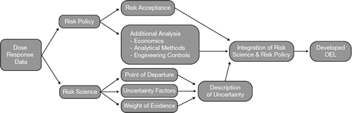 Figure 1 Sources of uncertainty and variability in occupational exposure limit derivation.