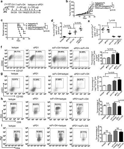 Figure 5. Combined treatment with scFv-D4 and anti-PD-1 induces immune cell infiltration and shows remarkable anti-tumor activity in a 4T1/E2 breast cancer model