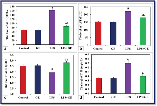 Figure 3. The levels of serum ALT, AST (IU/L), albumin (g/dL) and total bilirubin (mg/dL) among the studied groups of male rats (a: significance with control, b: significance with LPS group). ALB: albumin, T.B: total bilirubin, (a: significance with control, b: significance with LPS group).