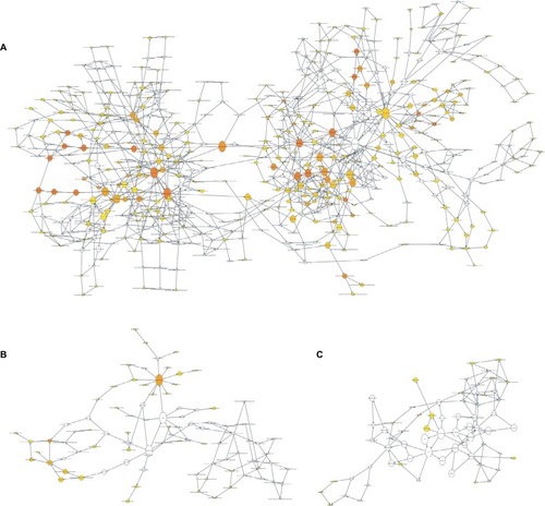 Figure 5 Gene Ontology analysis of differentially expressed mRNAs associated with breast cancer.Note: (A) The enrichment analysis of biological processes; (B) enrichment analysis of molecular function; and (C) enrichment analysis of cellular component.