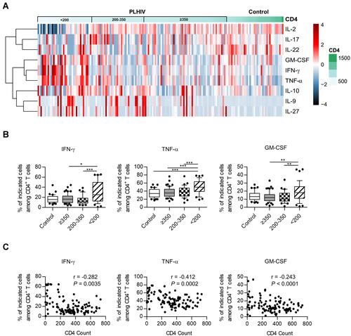 Figure 1 Heatmap and cluster analysis of cytokine profiles and correlation with HIV disease progression. (A) Heatmap and cluster analysis of cytokines for healthy donors and PLHIV. The percentage of cytokine-producing cells was expressed as color scales (black represents low levels; red, high levels). Dendrograms on the left side reflected proximities of cytokines based on intracellular cytokine staining. (B) The expression of IFN-γ, TNF-α, and GM-CSF in healthy controls and different PLHIV groups (CD4 count≥350 cells/µL, 200–350 cells/µL, <200 cells/µL). P values were obtained by the Kruskal–Wallis test followed by Dunn’s multiple comparisons test (IFN-γ, GM-CSF) or one-way ANOVA test followed by Tukey’s multiple comparisons test (TNF-α). (C) Correlation analysis of the percentages of cytokine-producing CD4+ T cells and CD4 count. Pearson’s (TNF-α) or spearman’s (IFN-γ, GM-CSF) test was used to test for correlations. *P < 0.05, **P < 0.01, ***P < 0.001.