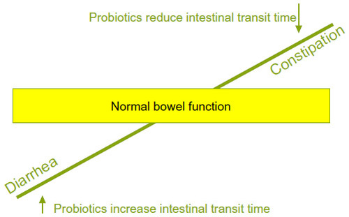 Figure 3 Principle by which probiotics can both provide benefits for diarrhea and constipation; normalization of the intestinal transit.