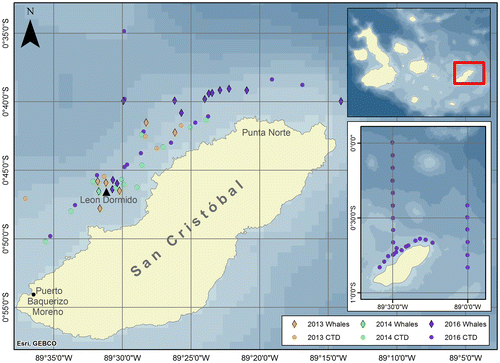 Figure 1. CTDs conducted around Isla San Cristóbal along with sightings of whales in summers 2013, 2014, and 2016. Source: The Authors.