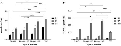 Figure 6. (A) Metabolic activity and (B) dsDNA amount of SaOS-2 cells seeded on TCP and PL-b-CL pristine, PL-b-CL:HA3 and PL-b-CL:HA7 electrospun scaffolds on days 1, 7 and 14 of culture. Data represent mean ± SD (n ≤ 4). One-way ANOVA with Tukey’s post hoc analysis, *p ˂ 0.05, **p ˂ 0.01, ****p ˂ 0.0001.