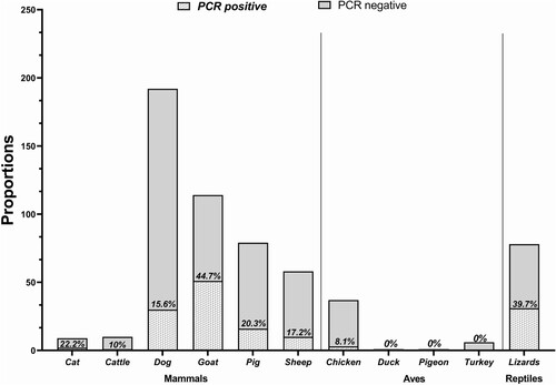 Figure 2. Prevalence of LASV in non-rodents.