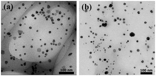 Figure 5. TEM images of AgNPs synthesized by using (a) sericin of S. c. ricini and (b) sericin of B. mori.