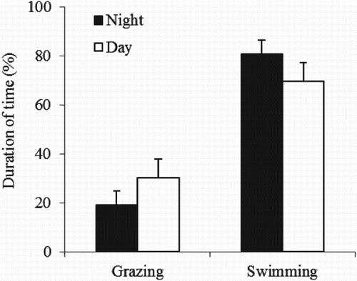 Figure 5. Mean (bar: ± standard deviation) grazing and swimming activity of common carp (data calculated from Rahman et al. Citation2008d).