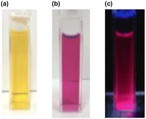 Figure 20. Photographs of the THF solutions: (a) 37 under room light; (b) 38 under room light; (c) 38 under 365 nm UV light.