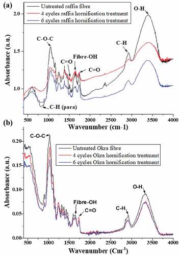Figure 6. Infrared spectroscopy of untreated, four cycles and six cycles of hornification treatment of (a) raffia and (b) okra fiber.