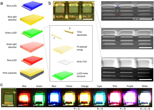 Figure 11. Fabrication of full-color LED pixel arrays using 2D-assisted layer transfer. (a) Schematic of the RGB pixel integration. (b) Optical and SEM images of the RGB pixels and (c) EL image of the color mixing. Reprinted from [Shin et al., Nature 614, 81 (2023)] with the permission of Springer Nature.
