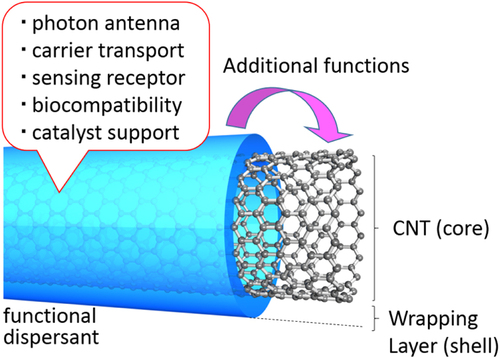 Figure 21. Concept and the role of the functional dispersant.