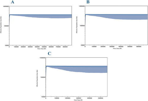 Figure 4. Bayesian skyline plots with differing mutation rates reconstructing changes in NZ scampi effective population size through time. A: 7 × 10−9 substitutions/site/year. B: 1 × 10−8 substitutions/site/year. C: 1.3 × 10−8 substitutions/site/year. The blue-shaded areas represent 95% confidence intervals.