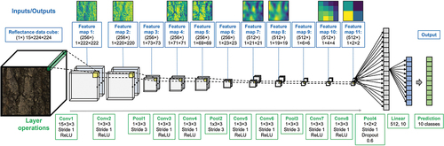 Figure 4. General structure of the 3D-CNN architecture used to classify 10 boreal and temperate tree species from reflectance data cubes. Textboxes in the top row (blue text) depict the inputs and outputs from one layer to another. Textboxes in the bottom row (green text) depict the operations done between layers. The images above the features maps visualize the activations of the convolutional layers (Conv1–conv8) when a training sample is fed through the network.