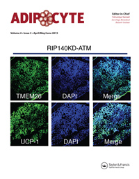 Cover image for Adipocyte, Volume 4, Issue 2, 2015