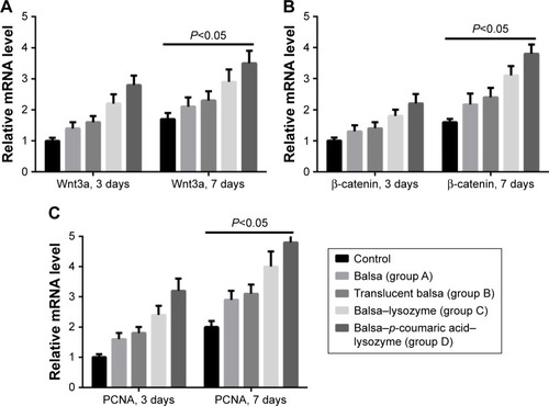 Figure 9 Reverse-transcription polymerase chain reaction showed that the five groups could be arranged in descending order.Notes: D > C > B ≈ A > control (P<0.05), according to the increase in expression of Wnt3a (A), β-catenin (B), and PCNA (C) at 3 and 7 days.