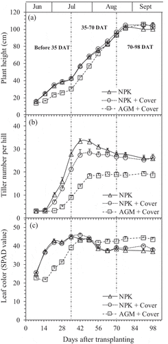 Figure 4. Plant height (a), tiller number (b), and leaf color measured in SPAD values (c) of rice plants from plots treated with chemical fertilizer (NPK), NPK plus Azolla cover (NPK + Cover), and Azolla as green manure plus Azolla cover (AGM + Cover) throughout the experimental period. Vertical bars indicate standard error (n = 4). Dashed lines show the early, middle and later rice growth stages.